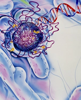 Antibiotic destroying a bacterium Antibiotic destroying a bacterium