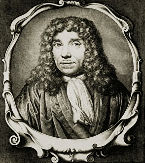 Anton van Leeuweenhoek, Dutch microcoscopist Anton van Leeuweenhoek, Dutch microcoscopist
