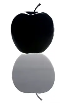 Apple Computer Print