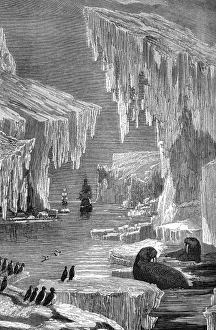 Prints of Arctic exploration. 19th century artwork of two ships exploring the Arctic Images Dated 2005 August: 19th Century Arctic Exploration Print