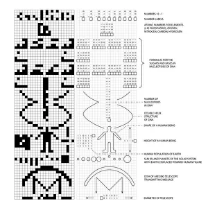 DNA Prints: Arecibo message print, a diagram of binary transmission