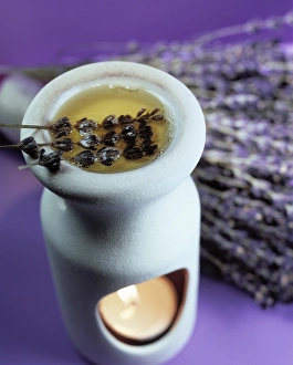 Prints of Aromatherapy. Dried lavender (Lavendula sp.) and its essential oil in an oil burner. A bunch of lavender is in the background Images Dated 2003 April: Aromatherapy Print: Dried lavender and its essential oil in an oil burner