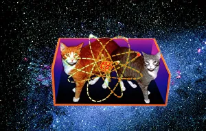 Art of Schrodingers Cat experiment Art of Schrodingers Cat experiment
