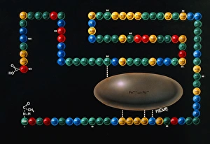 Art of structure of enzyme cytochrome C Art of structure of enzyme cytochrome C
