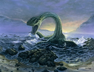 Artwork of Elasmosaurus, a marine dinosaur Artwork of Elasmosaurus, a marine dinosaur