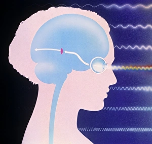 Artwork of eye and light showing human sight Artwork of eye and light showing human sight