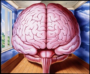 Artwork of human brain enclosed in dream-like room Artwork of human brain enclosed in dream-like room