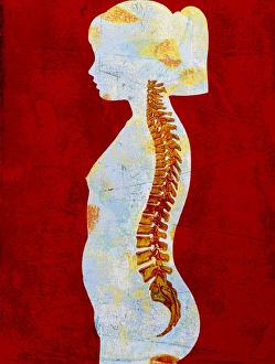 Artwork of spine on profile of a young girl Artwork of spine on profile of a young girl