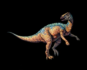 Artwork of a Tenontosaurus dinosaur Artwork of a Tenontosaurus dinosaur
