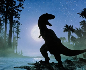 Artwork of a Tyrannosaurus seen at night Artwork of a Tyrannosaurus seen at night