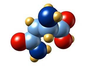 Amino Acid Structure Prints: Asparagine, molecular model