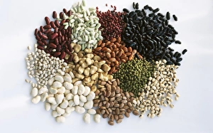 Assorted pulses Print C014 / 1502