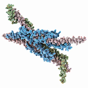 Cellular Energy Production Prints: ATPase molecule
