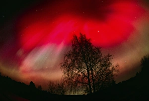 Aurora Borealis Prints: Aurora borealis