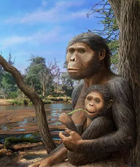 Australopithecus afarensis Print: Female Hominid with Child