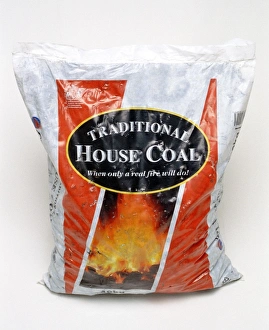 Fossil Energy Source Prints: Bag of coal