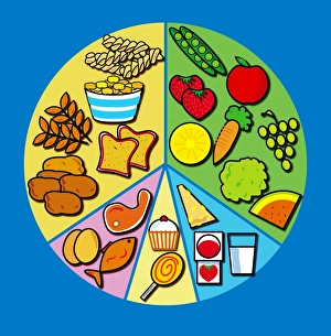 Balanced Diet Print - Segmented Pie Chart