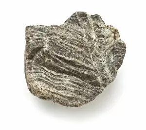 Banded gneiss C016 / 6208