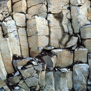Basalt columns in British Columbia, Canada Basalt columns in British Columbia, Canada
