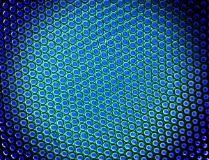 Polarised Light Micrograph Prints: Beetle compound eye, light micrograph
