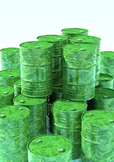 Prints of Biodiesel, conceptual artwork. Fuel containers with plant leaves on their surfaces, representing a fuel made from plant sources Images Dated 2008 July: Biodiesel Print: Fuel Containers with Plant Leaves
