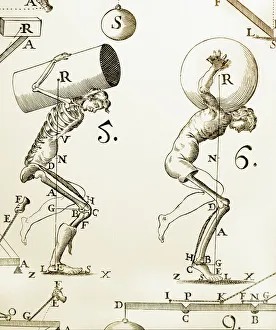 Human Body Prints: Biomechanics Print: Two Humans Bearing Loads