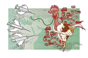 Bird Flu Print: A Chicken Surrounded by Flying Syringes