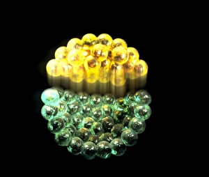 Stem Cell Biology Prints: Blastocyst embryo
