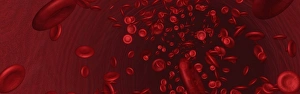 Red Blood Cells Prints: Blood, computer artwork
