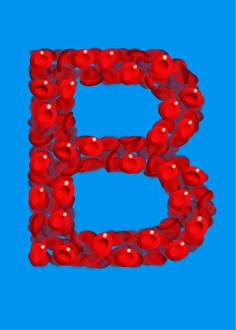 Red Blood Cells Prints: Blood group B