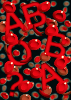 Red Blood Cells Prints: Blood groups
