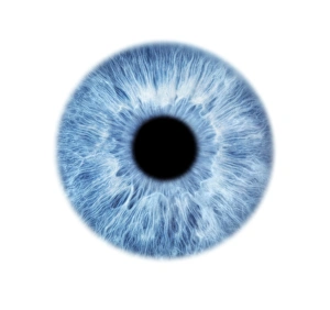 Blue Eye Print: Close-up of Iris and Pupil