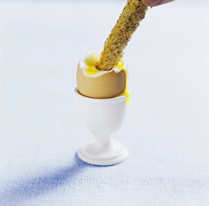 Toasted Bread Prints: Boiled egg