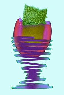 Coloured X-ray Print of Boiled Egg in Metal Eggcup
