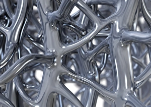 Cancellous Bone Structure Prints: Bone trabeculae