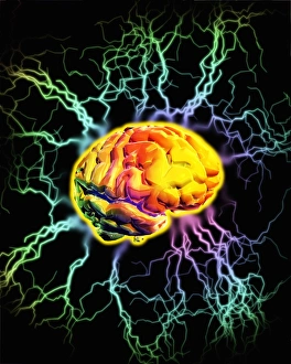 Brain Activity Print: Electrical Pulses Surround Human Brain