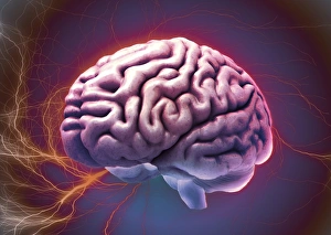 Magnetic Resonance Imaging (MRI) Prints: Brain activity, composite image C018 / 0658