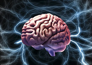 Magnetic Resonance Imaging (MRI) Prints: Brain activity, composite image C018 / 0660