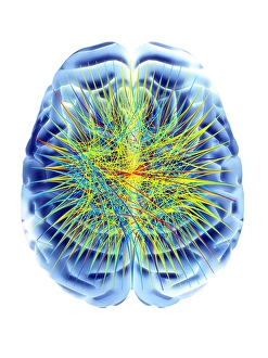 Images Dated 27th January 2014: Brain and circular network diagram print