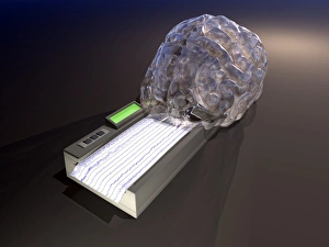Brain Function Illustration Prints: Brain function, conceptual artwork