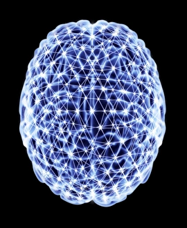 Brain Neural Network Print - Top View Computer Artwork