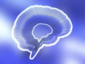 Brain Computer Artwork Prints: Brain outline, artwork