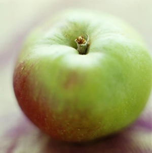 Apple Varieties Prints: Bramley apple