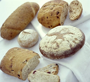 Prints of Bread Images Dated 2003 June: Bread Print