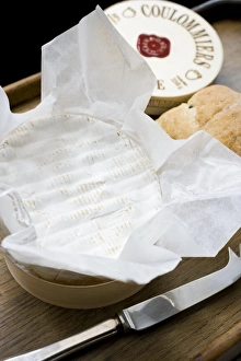 Brie Cheese Prints: Brie on a tray