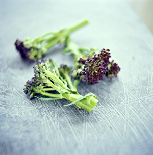 Vegetable Images Prints: Broccoli florets