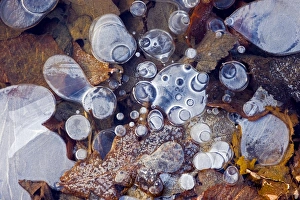 Greenhouse Gas Emissions Prints: Bubbles of methane