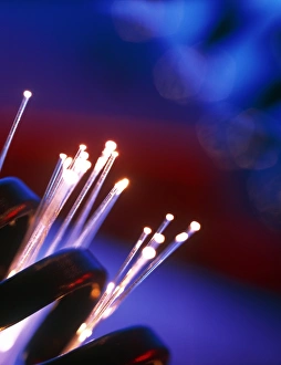 Bundle of optical fibres behind a telephone cable Bundle of optical fibres behind a telephone cable
