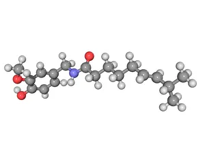 Images Dated 16th March 2009: Capsaicin Molecule Print