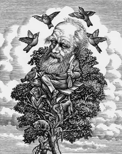 Caricature Prints: Charles Darwin in his evolutionary tree Print